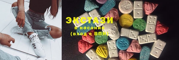 индика Верхний Тагил