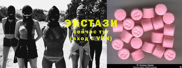 индика Верхний Тагил