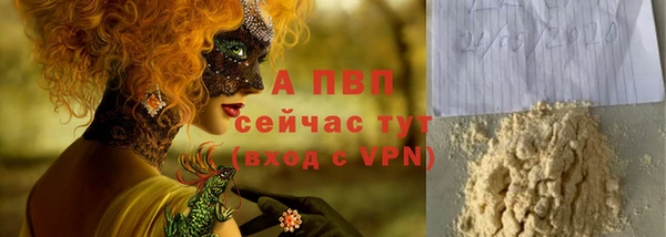 индика Верхний Тагил