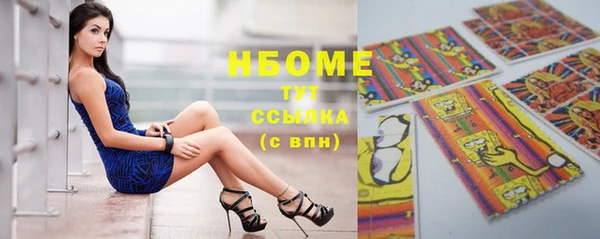 индика Верхний Тагил