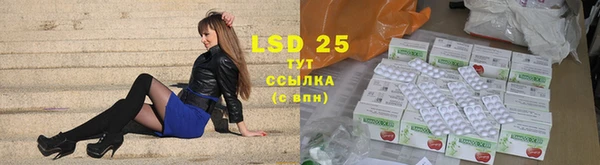 мдпв Верея