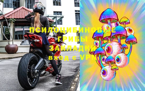 индика Верхний Тагил
