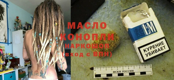 индика Верхний Тагил