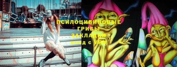мдпв Верея