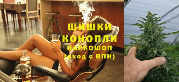 мдпв Верея