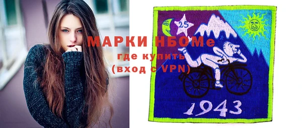 индика Верхний Тагил