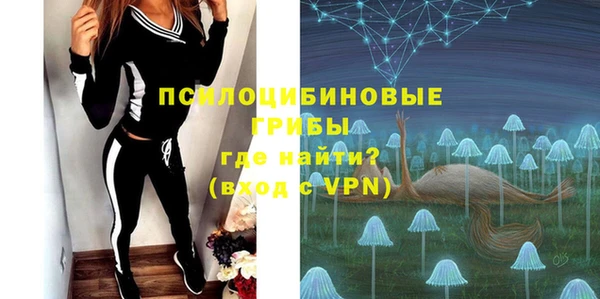 мдпв Верея
