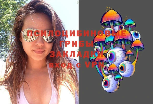 мдпв Верея