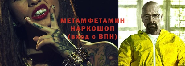 индика Верхний Тагил